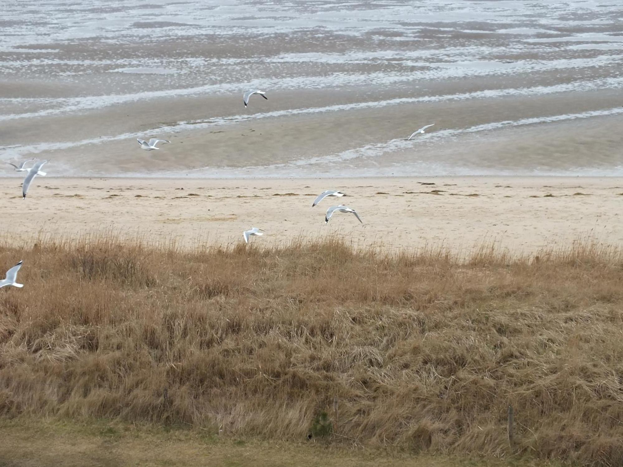 Watten-Blick 1 Cuxhaven Eksteriør billede